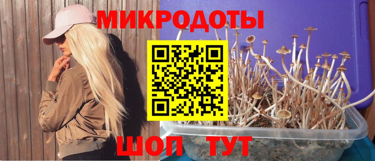 Кизилюрт  Галлюциногенные грибы Magic Shrooms  Вход с VPN  Псилоцибиновые грибы Cubensis 